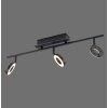 Paul Neuhaus SILEDA Ceiling Light anthracite, 3-light sources