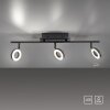 Paul Neuhaus SILEDA Ceiling Light anthracite, 3-light sources