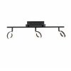 Paul Neuhaus SILEDA Ceiling Light anthracite, 3-light sources