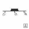 Paul Neuhaus SILEDA Ceiling Light anthracite, 3-light sources