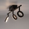 Paul Neuhaus SILEDA Ceiling Light anthracite, 3-light sources