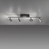 Paul Neuhaus SILEDA Ceiling Light anthracite, 4-light sources