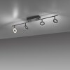 Paul Neuhaus SILEDA Ceiling Light anthracite, 4-light sources