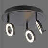 Paul Neuhaus SILEDA Ceiling Light anthracite, 3-light sources