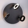 Paul Neuhaus SILEDA Ceiling Light anthracite, 3-light sources