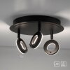 Paul Neuhaus SILEDA Ceiling Light anthracite, 3-light sources