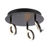 Paul Neuhaus SILEDA Ceiling Light anthracite, 3-light sources
