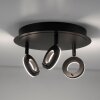 Paul Neuhaus SILEDA Ceiling Light anthracite, 3-light sources