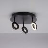 Paul Neuhaus SILEDA Ceiling Light anthracite, 3-light sources