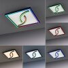 Paul Neuhaus SERPENT Ceiling Light LED black, 1-light source, Remote control, Colour changer