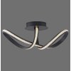 Paul Neuhaus BRILLA Ceiling Light LED black, 1-light source