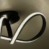 Paul Neuhaus BRILLA Ceiling Light LED black, 1-light source