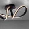 Paul Neuhaus BRILLA Ceiling Light LED black, 1-light source