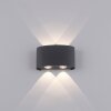 Paul Neuhaus CARLO Wall Light LED anthracite, 4-light sources