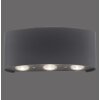 Paul Neuhaus CARLO Wall Light LED anthracite, 6-light sources