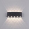 Paul Neuhaus CARLO Wall Light LED anthracite, 10-light sources