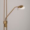 Leuchten-Direkt ZAHARA UpLighter LED antique brass, 2-light sources