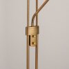 Leuchten-Direkt ZAHARA UpLighter LED antique brass, 2-light sources