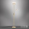Leuchten-Direkt ZAHARA UpLighter LED brass, 2-light sources