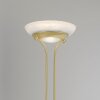 Leuchten-Direkt ZAHARA UpLighter LED brass, 2-light sources