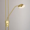 Leuchten-Direkt ZAHARA UpLighter LED brass, 2-light sources