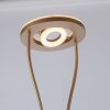 Leuchten-Direkt HELIA UpLighter LED brass, 3-light sources
