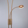 Leuchten-Direkt HELIA UpLighter LED brass, 3-light sources