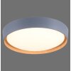 Leuchten-Direkt EMILIA Ceiling Light LED grey, Ecru, 1-light source