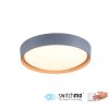 Leuchten-Direkt EMILIA Ceiling Light LED grey, Ecru, 1-light source