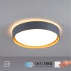 Leuchten-Direkt EMILIA Ceiling Light LED grey, Ecru, 1-light source