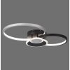 Leuchten-Direkt PAPILON Ceiling Light LED black, 1-light source
