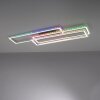 Leuchten-Direkt FELIX60 Ceiling Light LED brushed steel, 2-light sources, Remote control, Colour changer