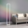 Leuchten-Direkt FELIX60 Floor Lamp LED brushed steel, 2-light sources, Remote control, Colour changer
