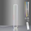 Leuchten-Direkt FELIX60 Floor Lamp LED brushed steel, 2-light sources, Remote control, Colour changer