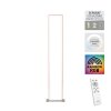 Leuchten-Direkt FELIX60 Floor Lamp LED brushed steel, 2-light sources, Remote control, Colour changer