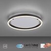 Leuchten-Direkt RITUS Ceiling Light LED anthracite, 1-light source