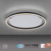 Leuchten-Direkt RITUS Ceiling Light LED anthracite, 1-light source