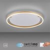 Leuchten-Direkt RITUS Ceiling Light LED brass, 1-light source