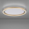 Leuchten-Direkt RITUS Ceiling Light LED brass, 1-light source