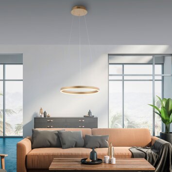 Leuchten-Direkt RITUS Pendant Light LED brass, 1-light source
