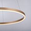 Leuchten-Direkt RITUS Pendant Light LED brass, 1-light source