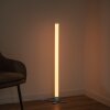 Leuchten-Direkt RINGO Floor Lamp LED silver, 1-light source, Remote control, Colour changer