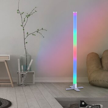 Leuchten-Direkt RINGO Floor Lamp LED silver, 1-light source, Remote control, Colour changer