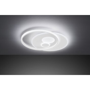 Wofi AKON Ceiling Light LED white, 3-light sources, Remote control