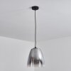 Autry Pendant Light black, 1-light source