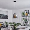 Autry Pendant Light black, 1-light source