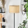Chenevrey Floor Lamp black, 1-light source