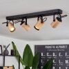 Beleco Ceiling Light Ecru, black, 4-light sources