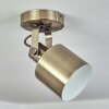 Neves Ceiling Light brass, 1-light source