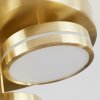 Huallilemu Ceiling Light LED brass, 3-light sources